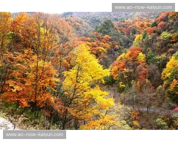 东京魅影vs.松本山魂：一场关于城市荣耀与山野坚韧的绿茵对决